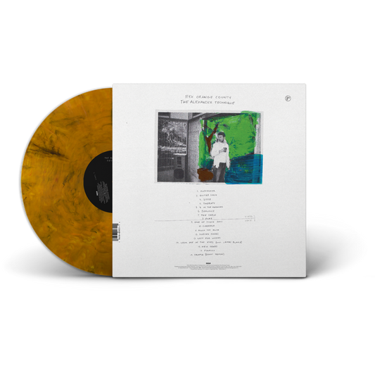 Back view of Rex Orange County - The Alexander Technique Exclusive Tiger's Eye Orange Vinyl