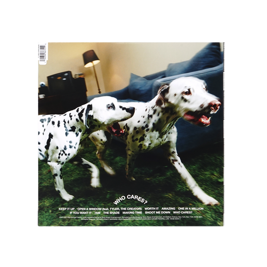 Back view of Rex Orange County - WHO CARES?: Standard Black Vinyl LP